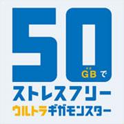 月額にプラスで最大50GBまで使える!