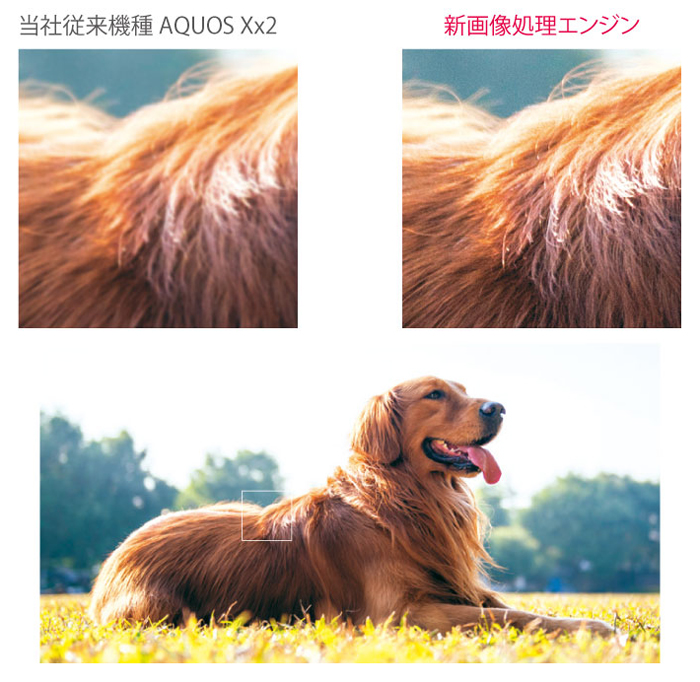 【AQUOS Xx3】は超解像技術を応用した画像処理技術で写真の細部までくっきりと描写