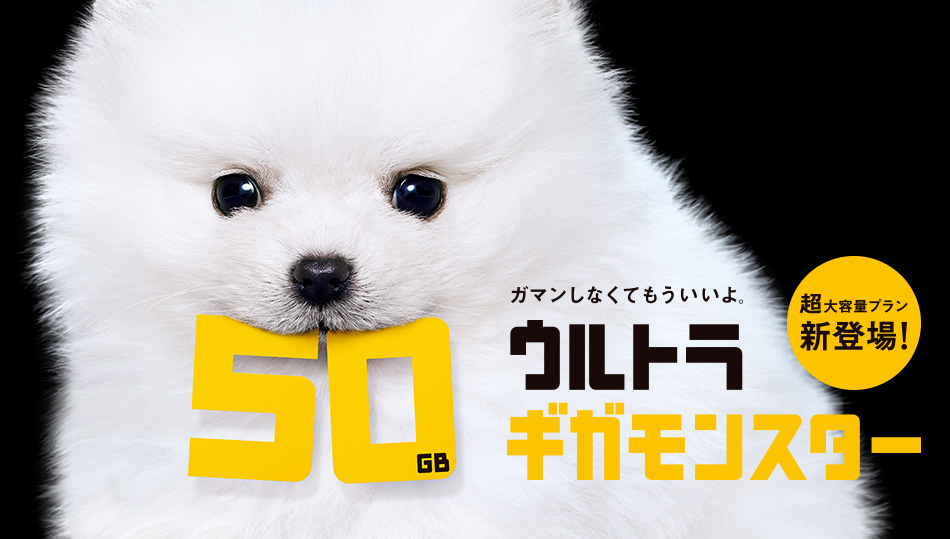 大容量50GBウルトラギガモンスター