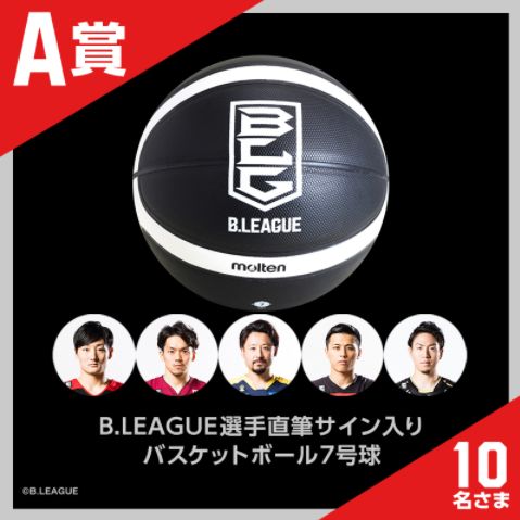 bリーグ直筆サインボール