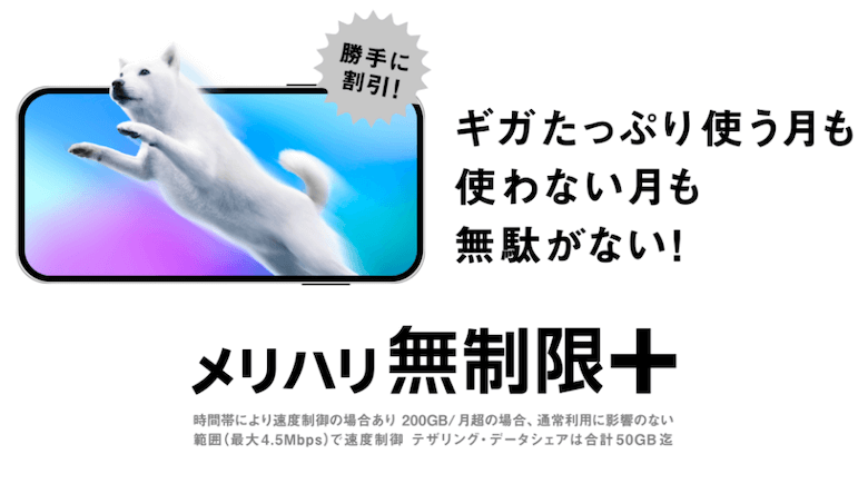 メリハリ無制限+