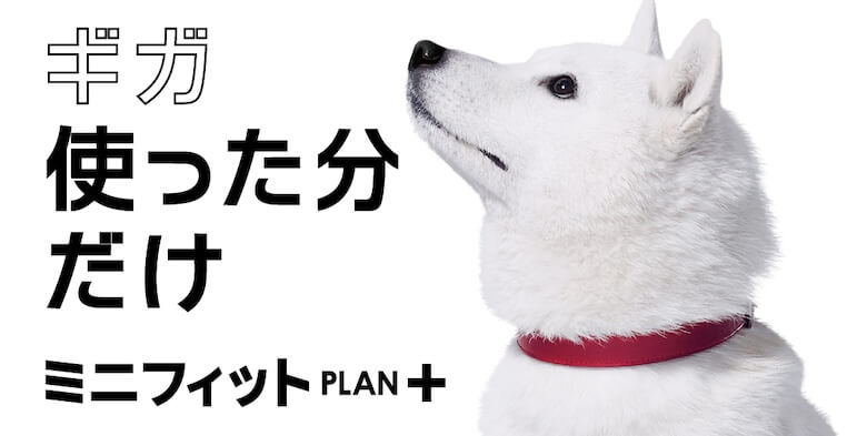 ミニフィットプラン+